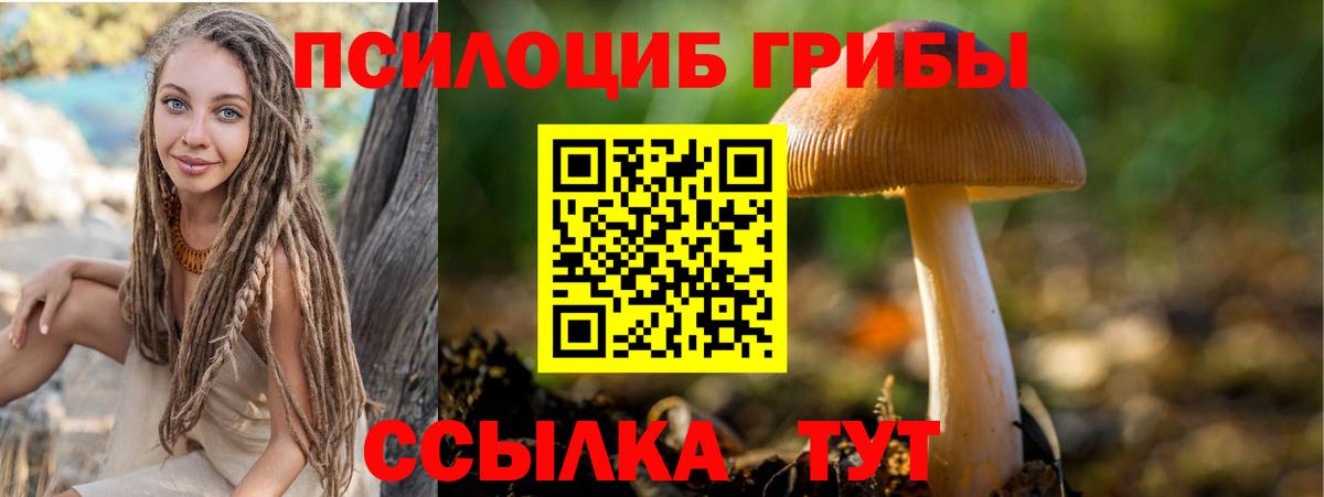 Еманжелинск  Галлюциногенные грибы Psilocybe  Вход с VPN 